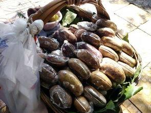 今日贵阳吃瓜,揭秘今日美食风云