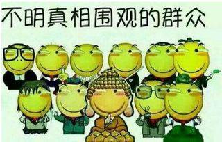 吃瓜群众击毙,一场意外的正义之战