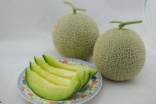 吃瓜侦探家的阿瓜,吃瓜侦探家的神秘冒险之旅