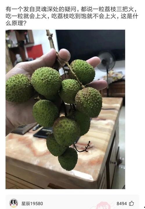 岑先生abcd吃瓜,岑先生与abcd的奇妙吃瓜之旅