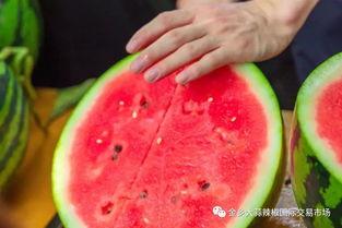 甘肃学院吃瓜,吃瓜群众围观校园风云