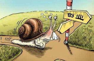 吃瓜之路饥饿少年,饥饿之路上的成长与蜕变