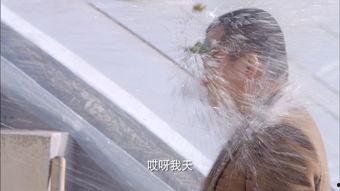 吃瓜狼狈,揭秘娱乐圈的尴尬瞬间