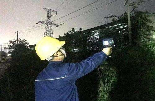 江西电力吃瓜,揭秘“吃瓜”背后的真相