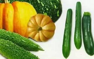 河北铺吃瓜详情,揭秘背后真相与热议焦点