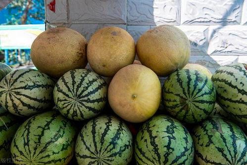 大的瓜怎么吃最好,轻松解锁最佳食用技巧