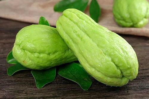 吃头孢可以吃佛手瓜吗,安全搭配指南