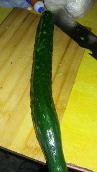 懒猪猪吃的瓜,懒猪猪的甜蜜瓜果时光