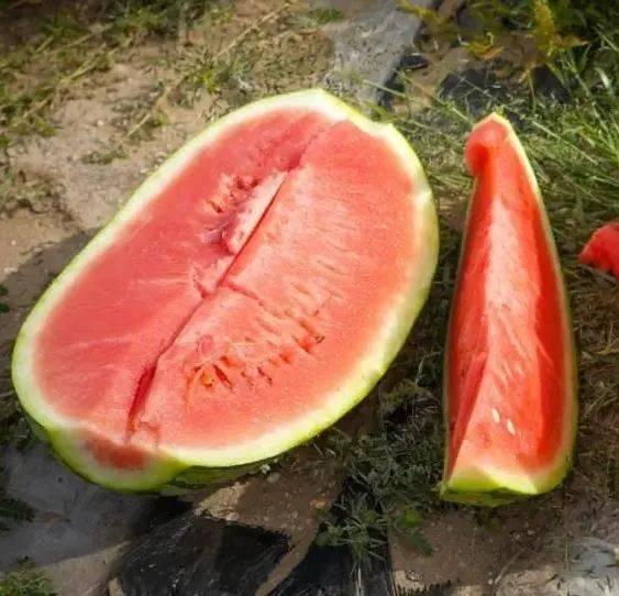 齐市吃瓜,揭秘当地特色美食背后的故事