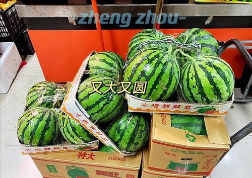 郑州换瓜吃,换瓜吃，体验别样风味