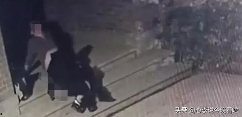 学员吃瓜视频完整版,一场校园风云的狂欢盛宴