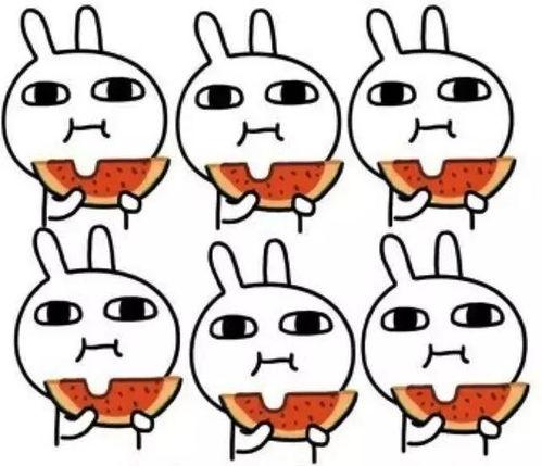 家人们吃瓜吃到自己,家人们的奇妙自嘲之旅