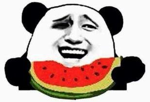 吃瓜群众带头吃瓜视频