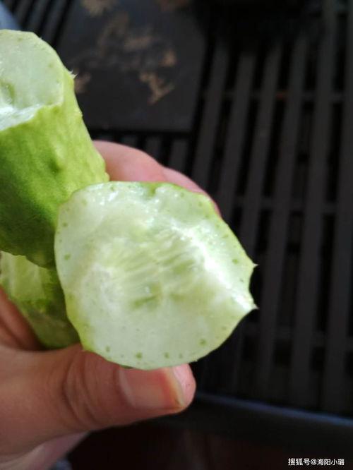 产妇可以吃玉瓜,玉瓜助力产妇恢复健康