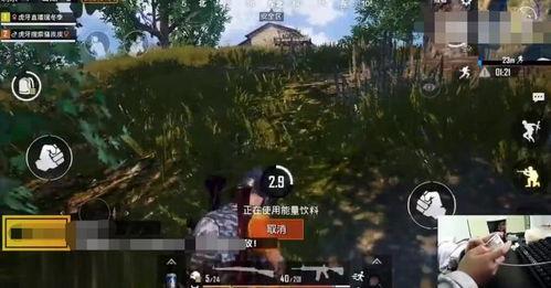 吃鸡主播布瓜,带你领略电竞魅力与幽默风趣