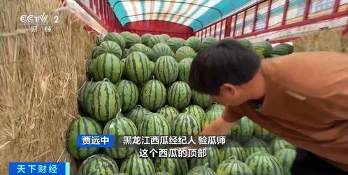 吃瓜验瓜,揭秘娱乐圈背后的真相与内幕