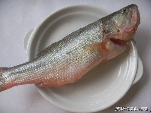 奇葩鱼类带你吃瓜,探寻奇葩鱼类背后的趣味故事